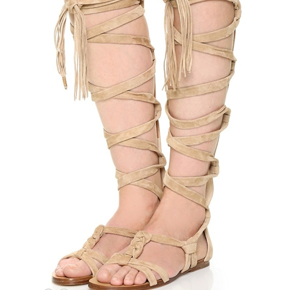 Sigerson Morrison knee high Gladiator sandals NWOT - Picture 1 of 7